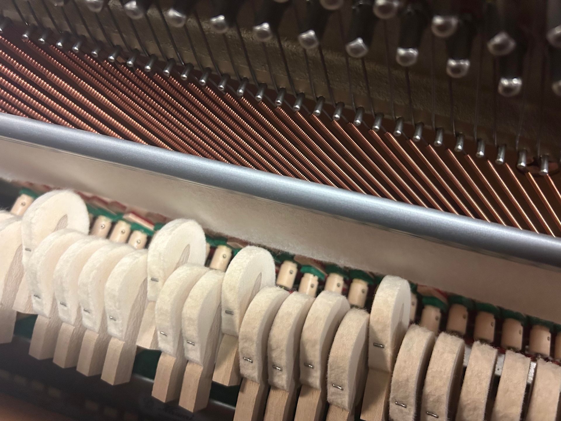 Close-up view of piano strings, hammers, and dampers inside the instrument.