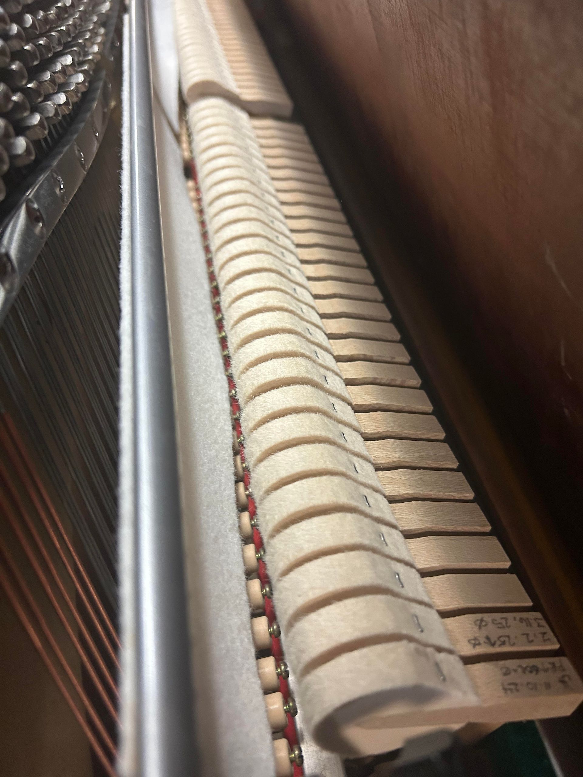Interior of a piano, showing the hammers, strings, and felt. Brown wood, white felt, and metal strings.