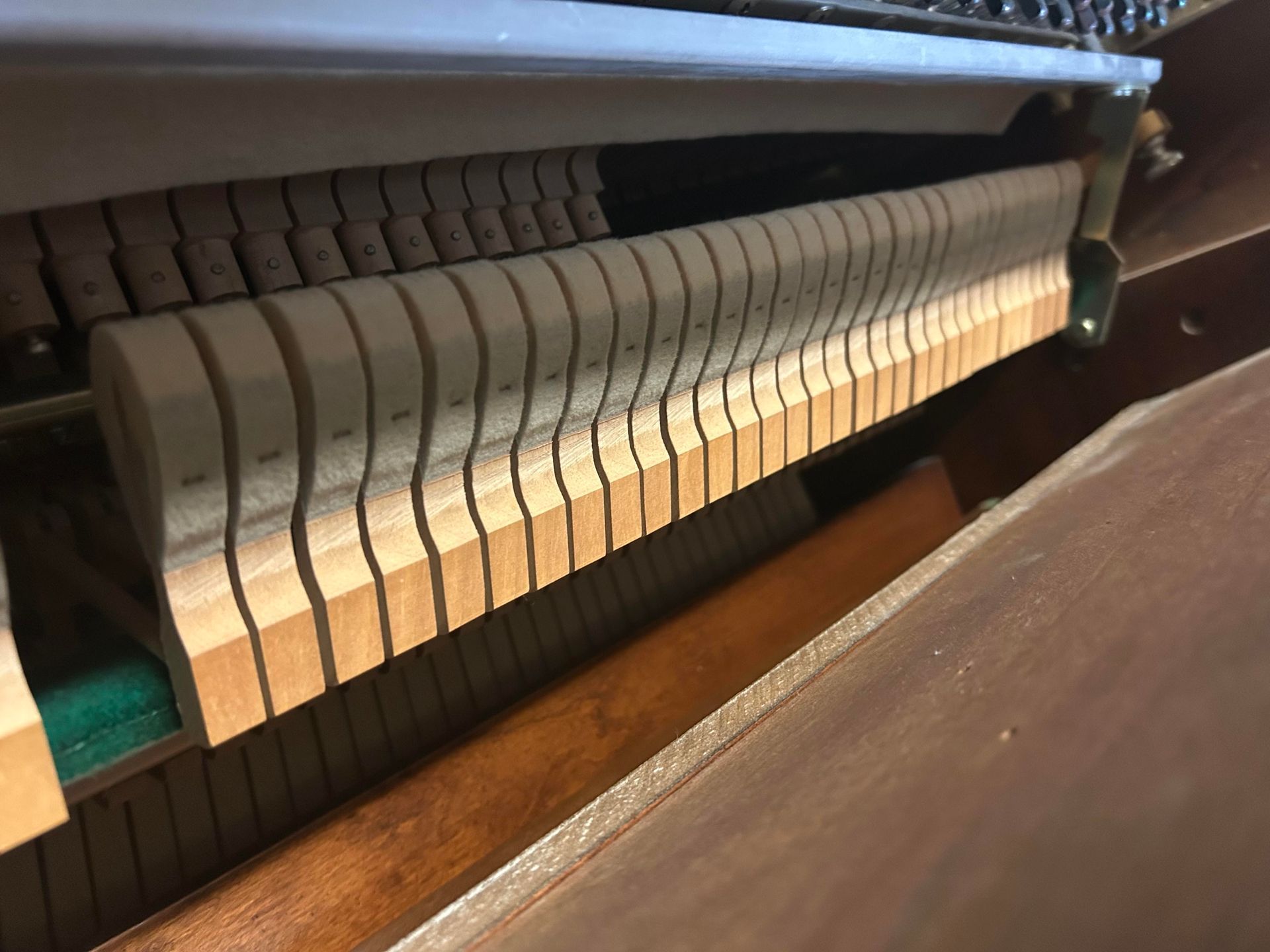 A close up of the inside of a piano.