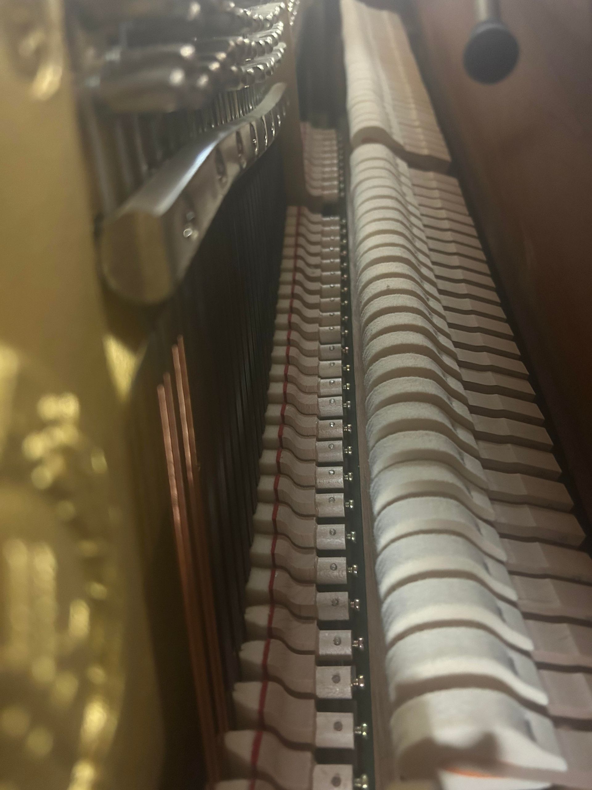 A close up of the inside of a piano showing the keys
