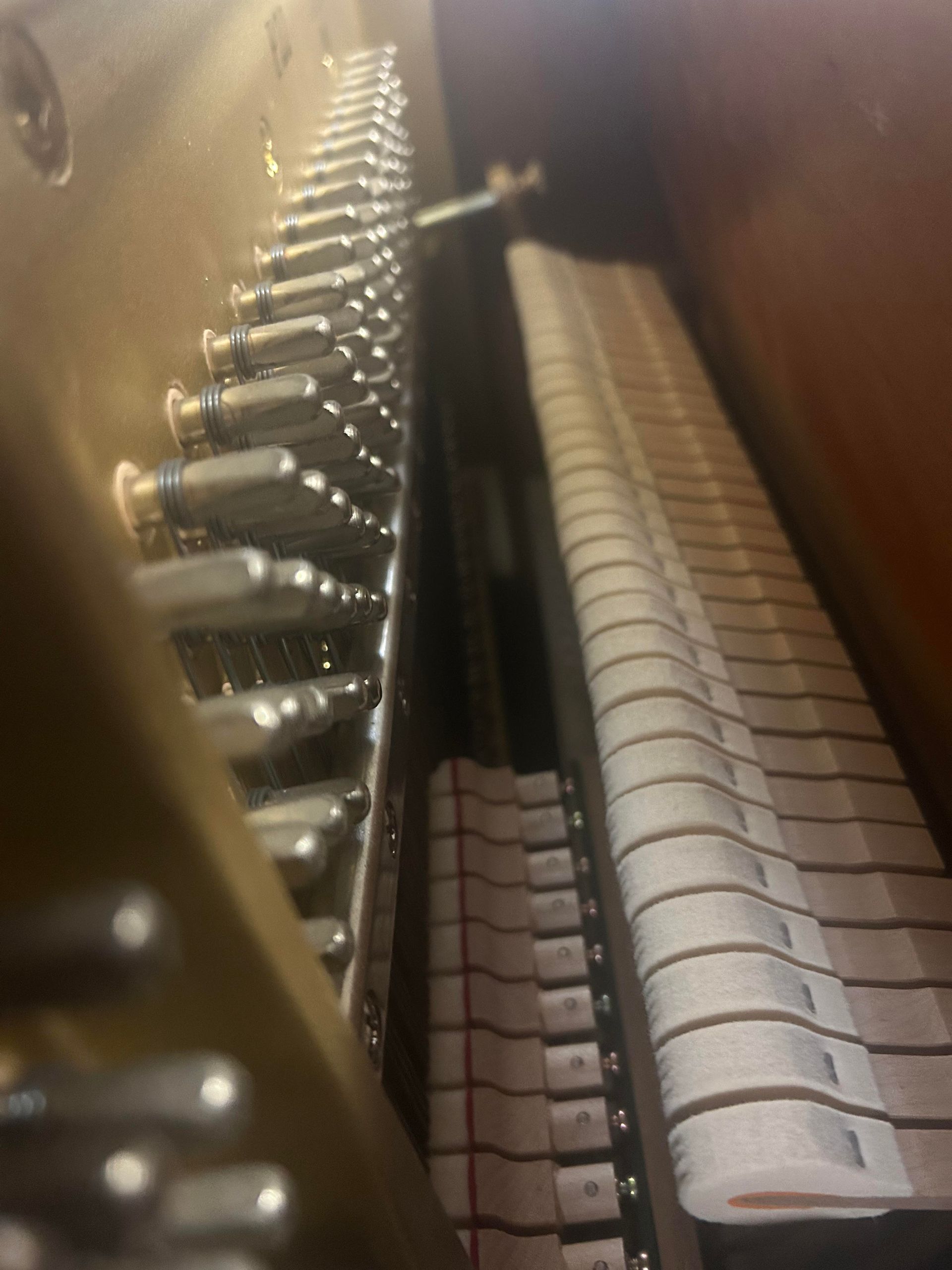 A close up of the inside of a piano showing the keys