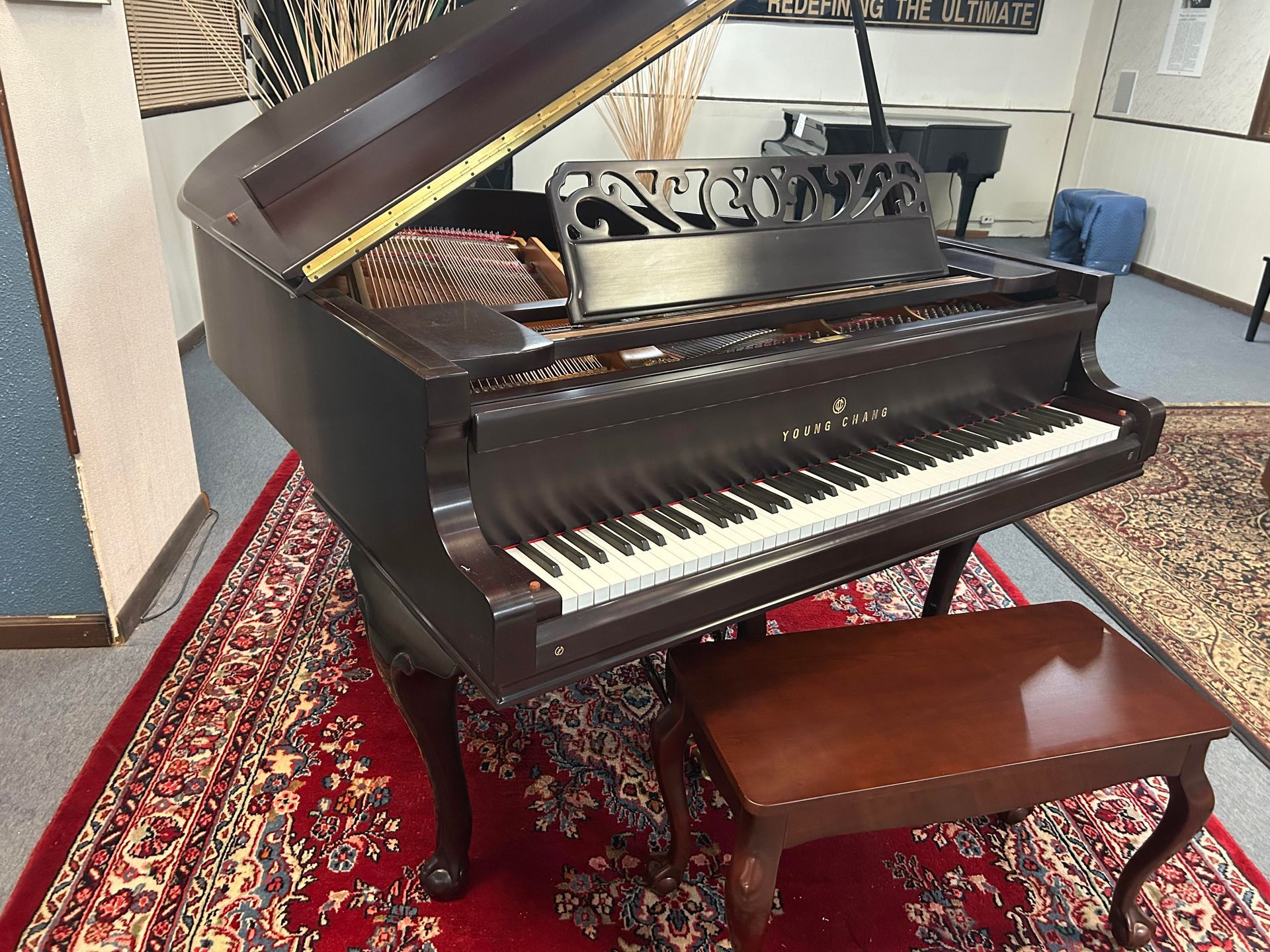 A grand piano is sitting on a rug in a room.