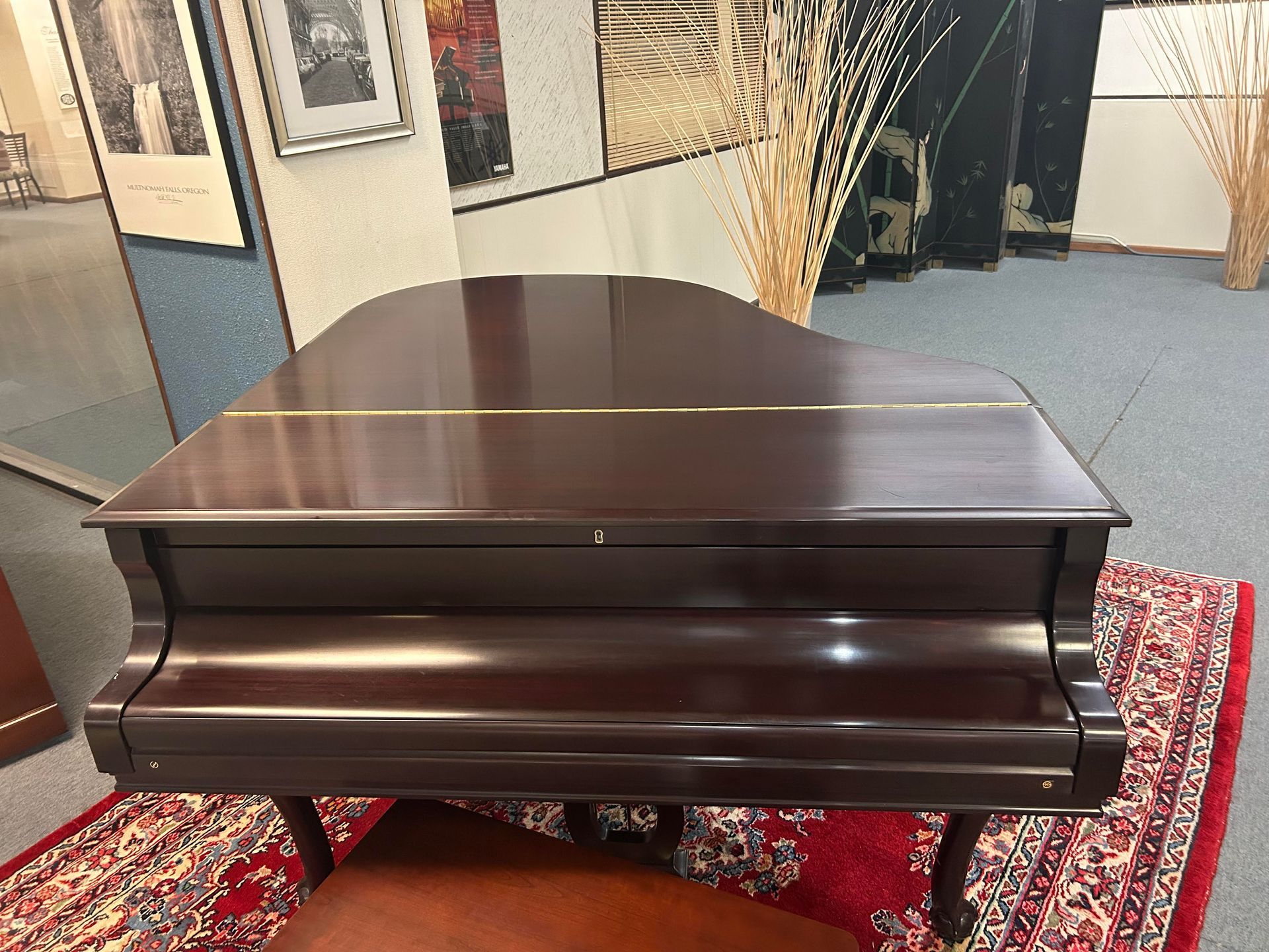 A grand piano is sitting on a rug in a room.