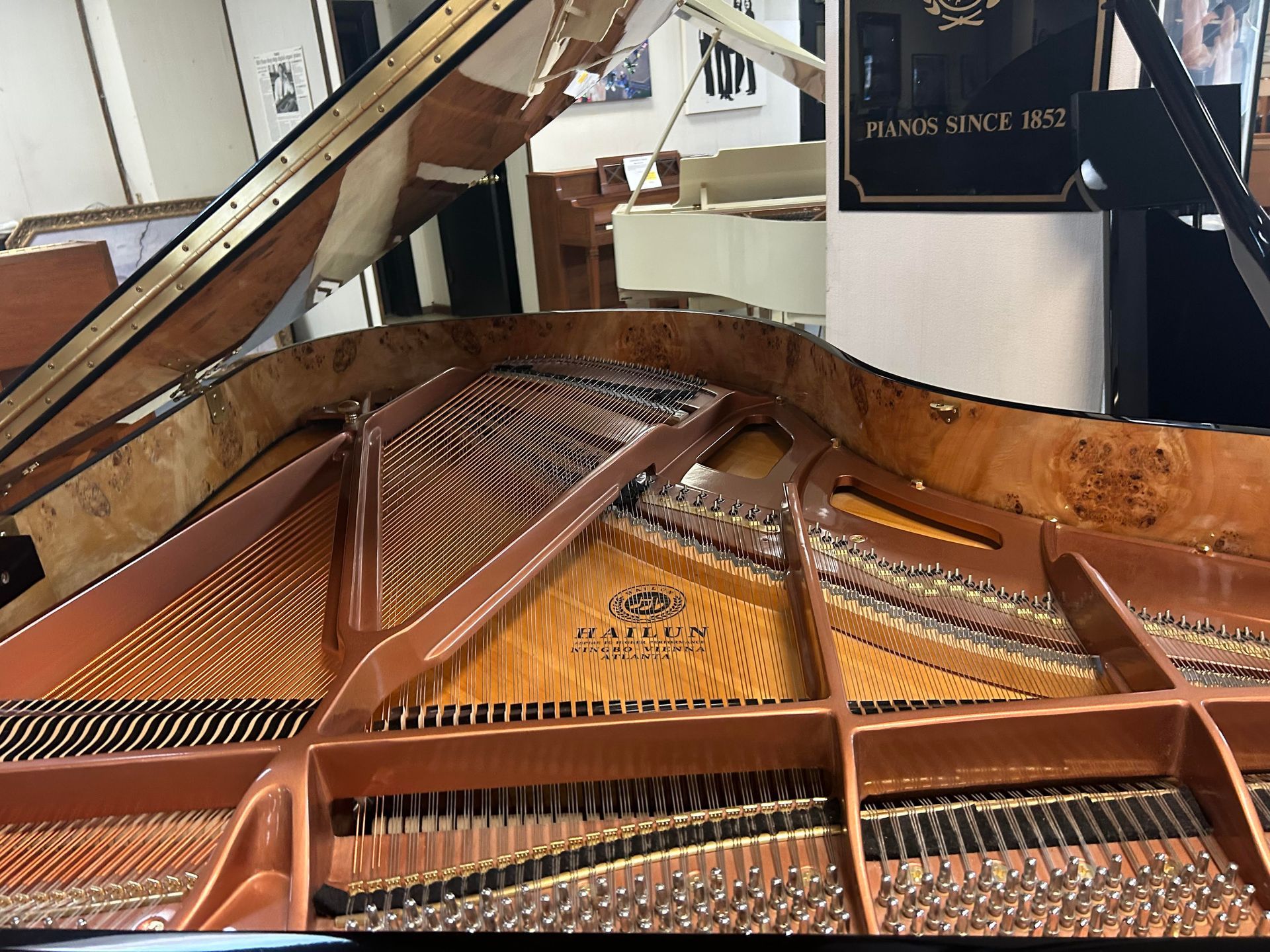 Inside view of a grand piano with strings, soundboard, and hammers visible. The piano's lid is raised.