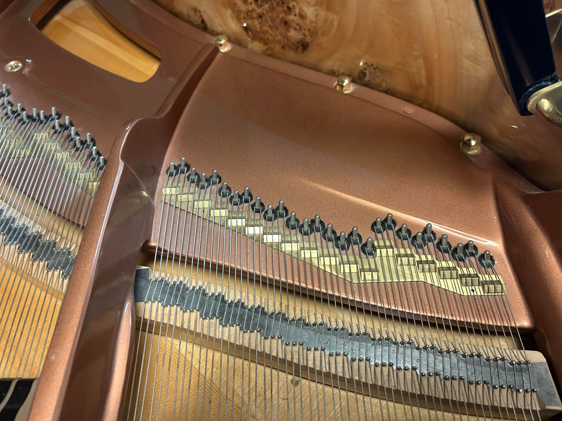 Inside view of a grand piano showing strings, tuning pegs, and a metallic brown soundboard.