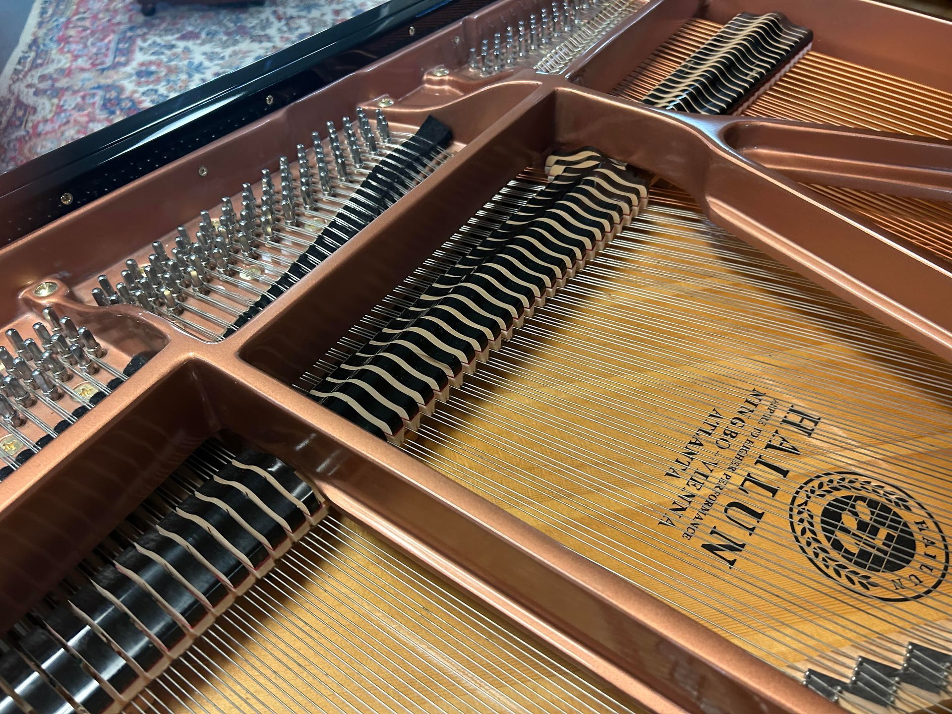 Inside a grand piano, showing strings, hammers, and soundboard. The brand name