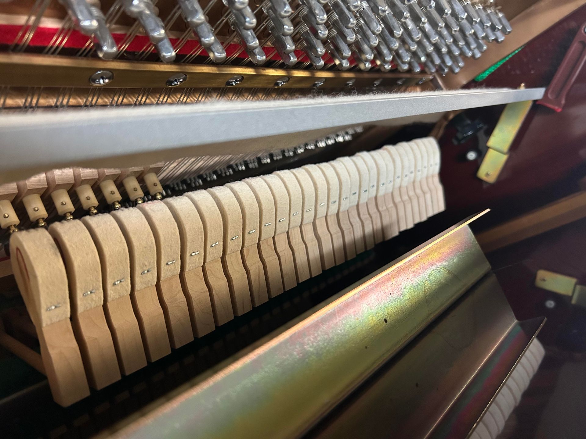 Inside of a piano showing the felt hammers lined up, ready to strike the strings. The hammers are tan, the strings are silver.