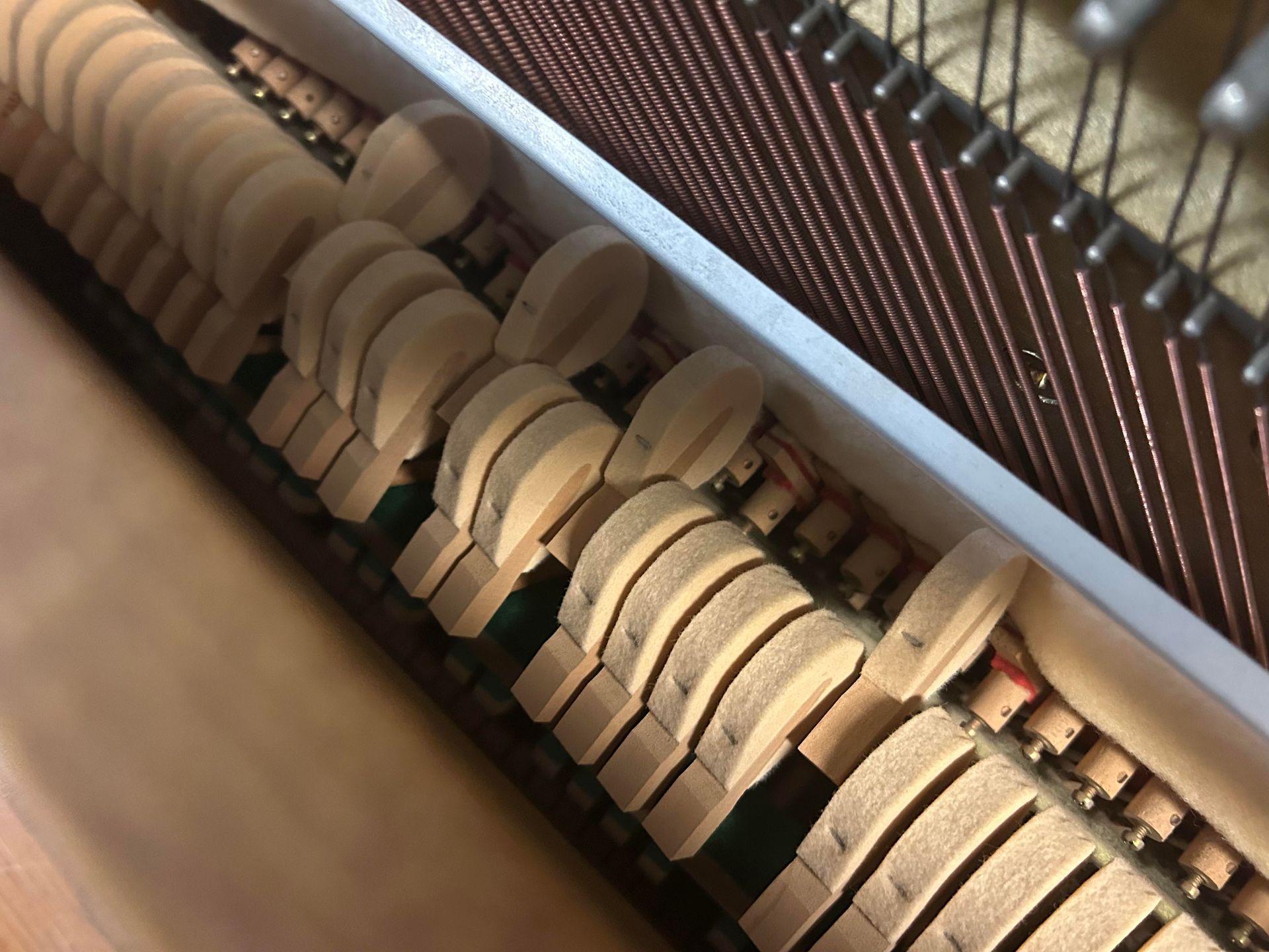 Piano hammers striking strings; interior view. Beige hammers with felt pads hit copper-colored strings.