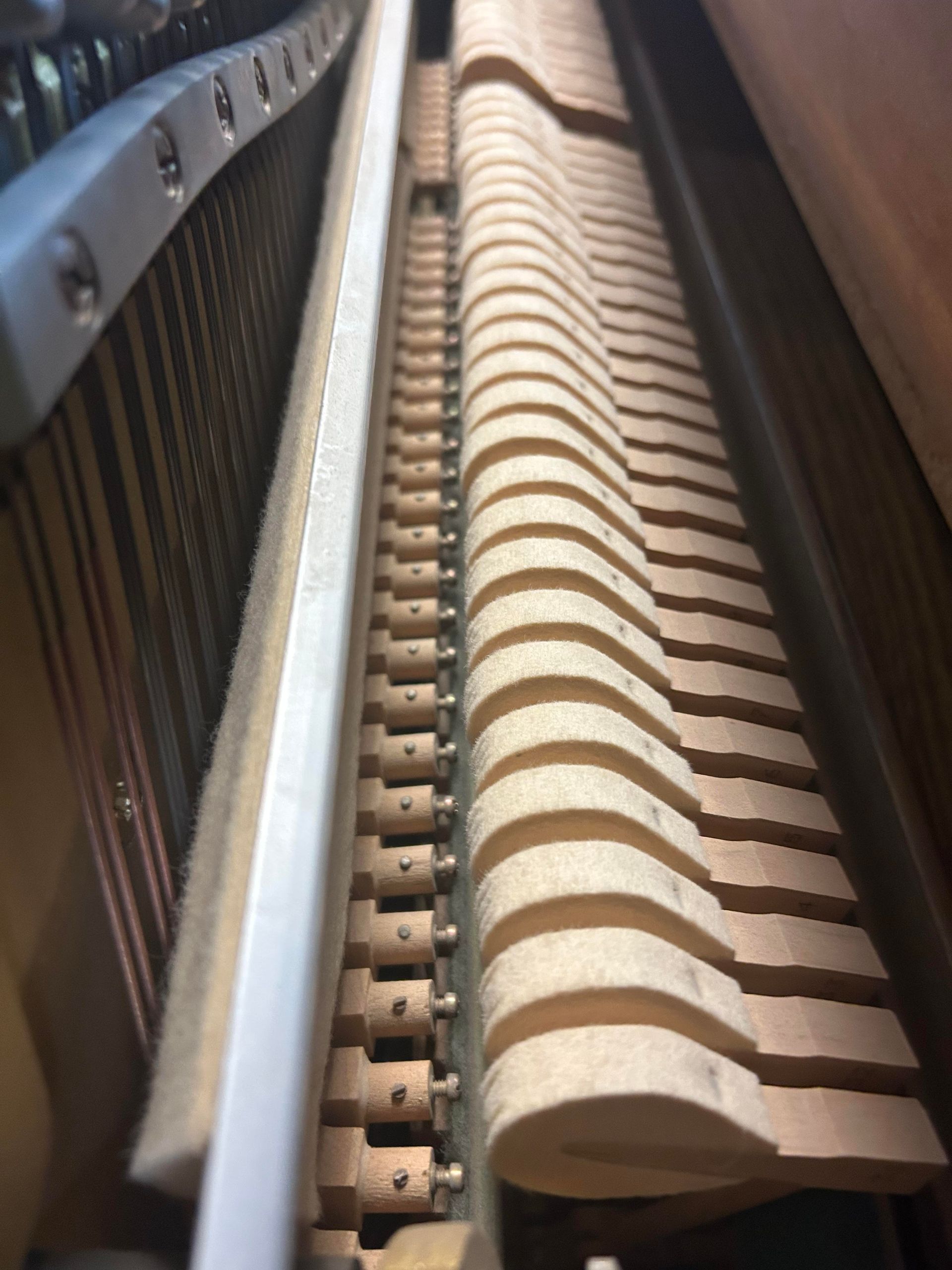 Inside of an upright piano. Wooden hammers and other mechanical components are visible.