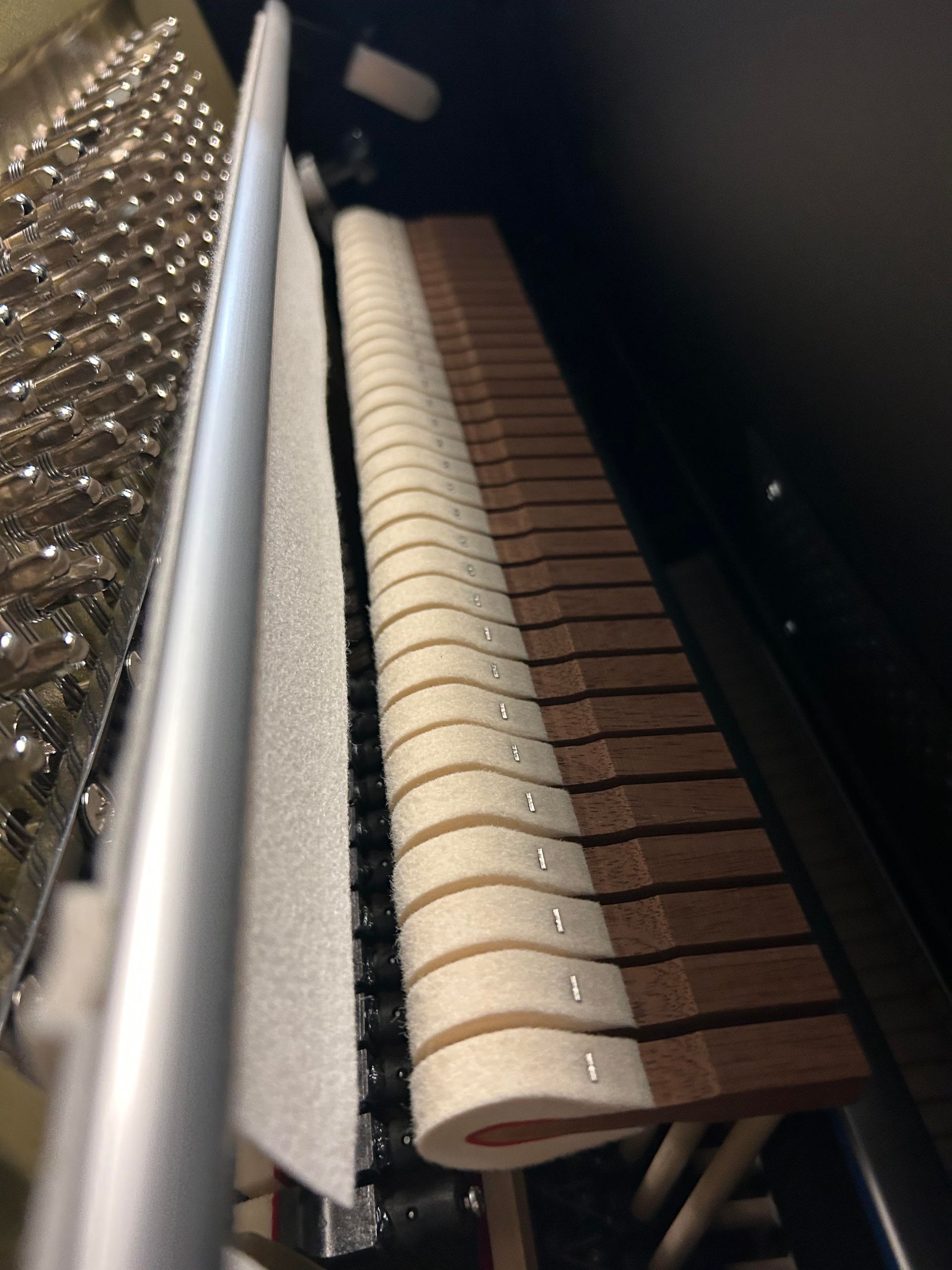 Inside a piano: hammers covered in felt rest against strings, soft focus.