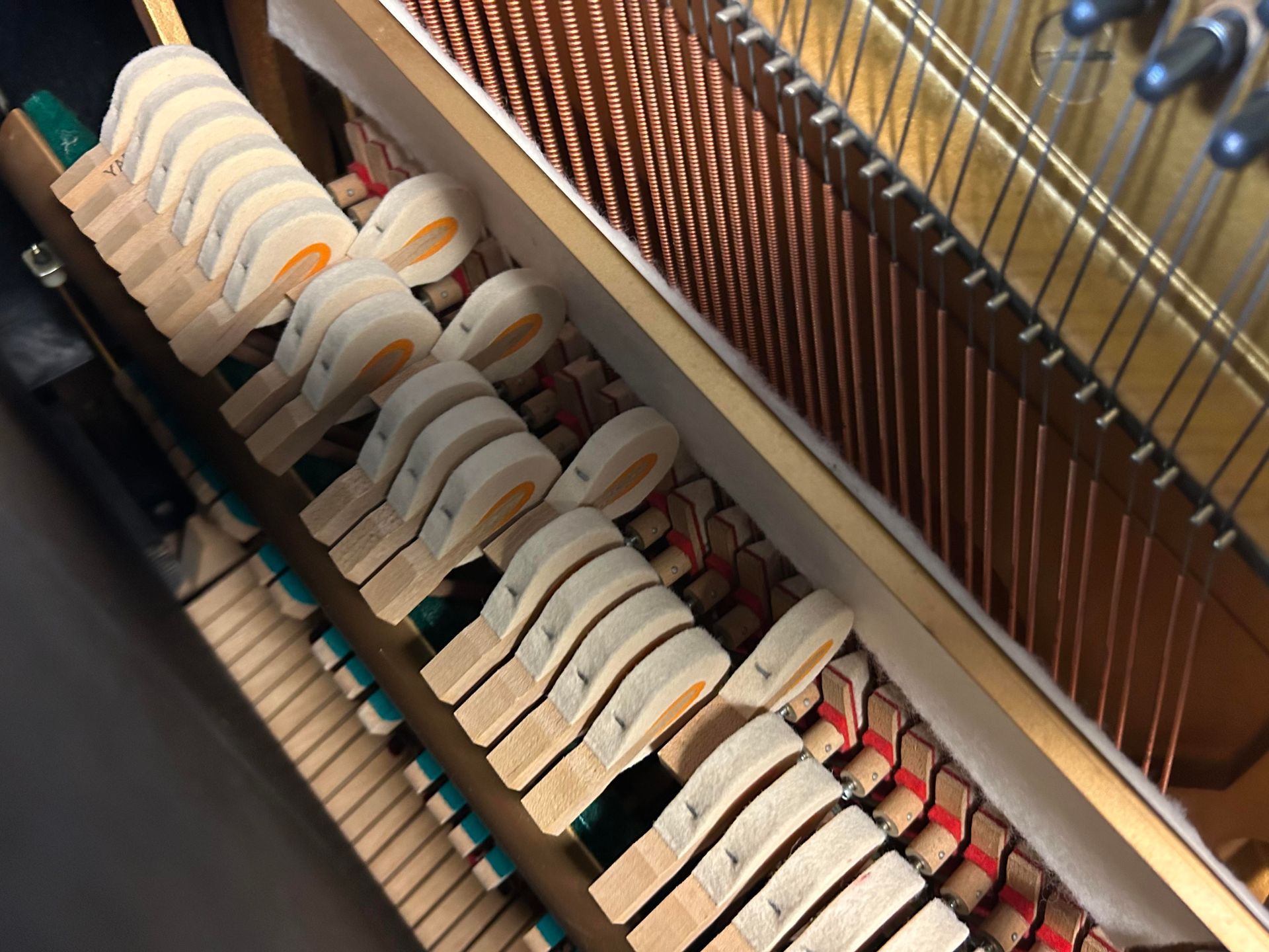 A close up of the inside of a piano showing the keys