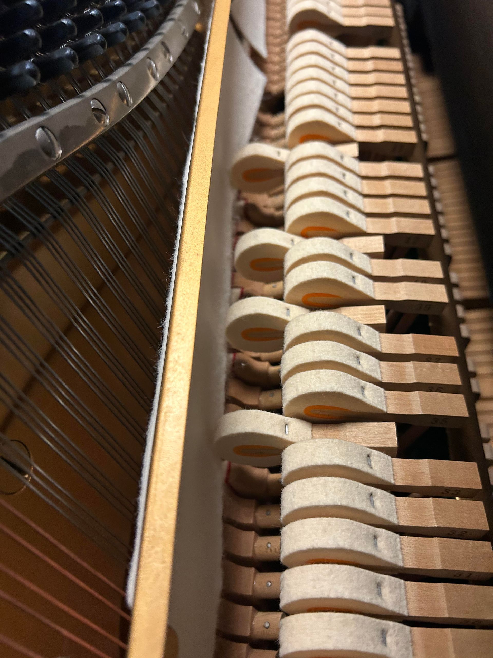 A close up of the inside of a piano showing the keys