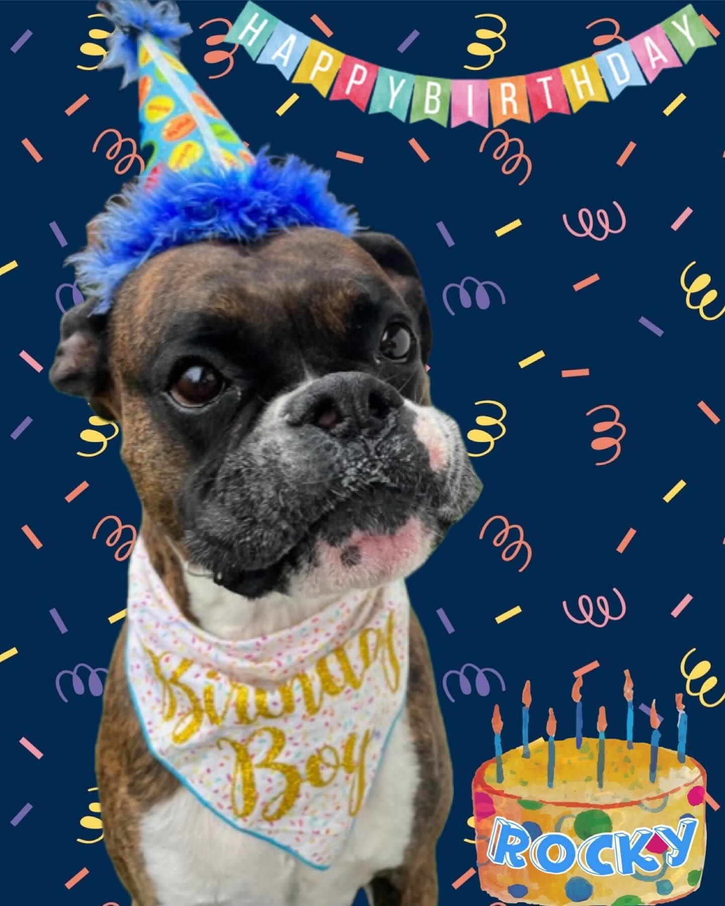 A dog wearing a birthday hat and a bandana that says birthday boy