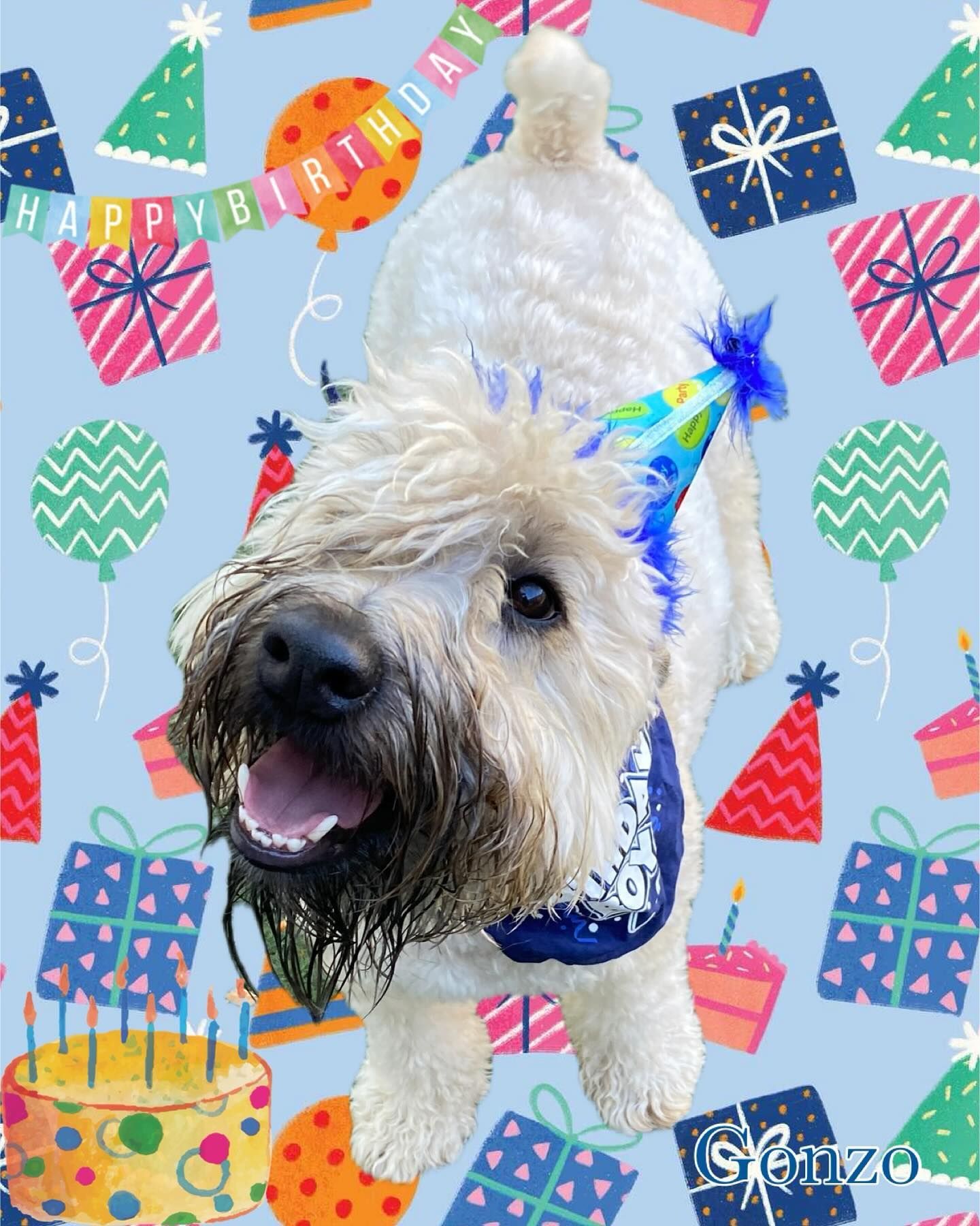 A dog wearing a party hat and a bandana says happy birthday