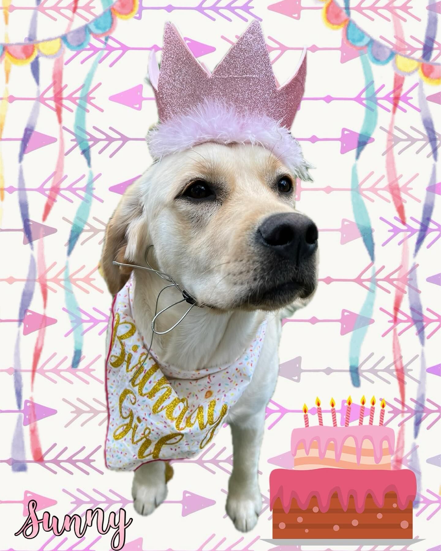 A dog wearing a pink crown and a birthday girl bandana