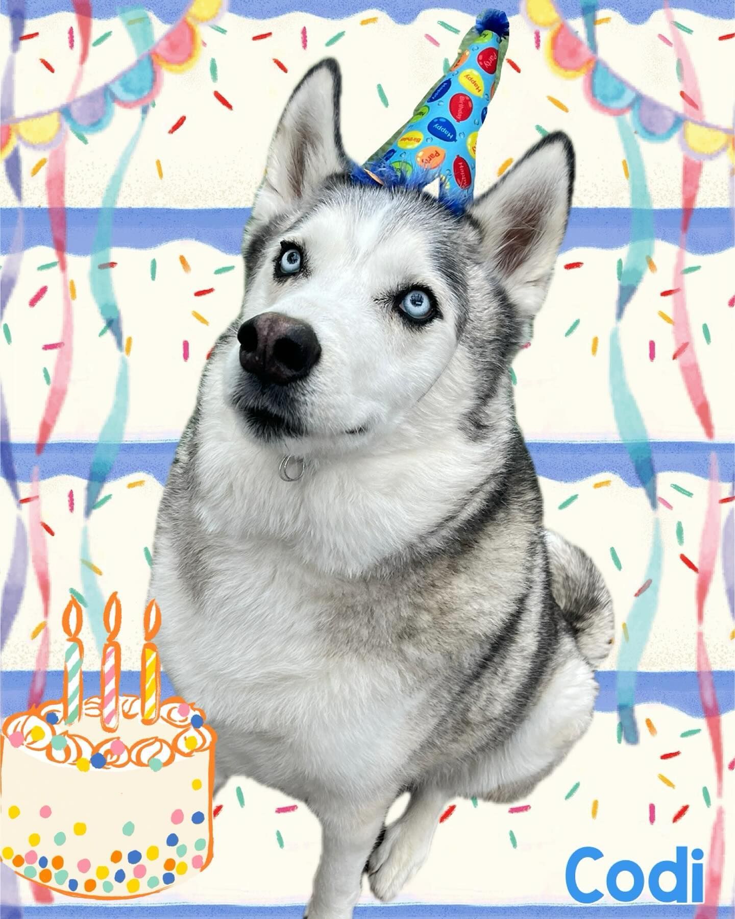 A husky dog wearing a party hat is sitting in front of a birthday cake
