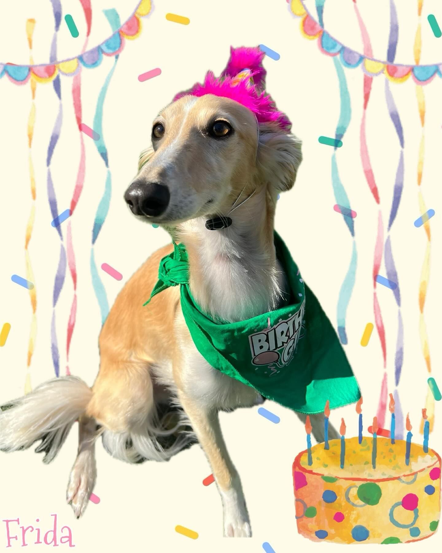 A dog wearing a birthday hat and a green bandana