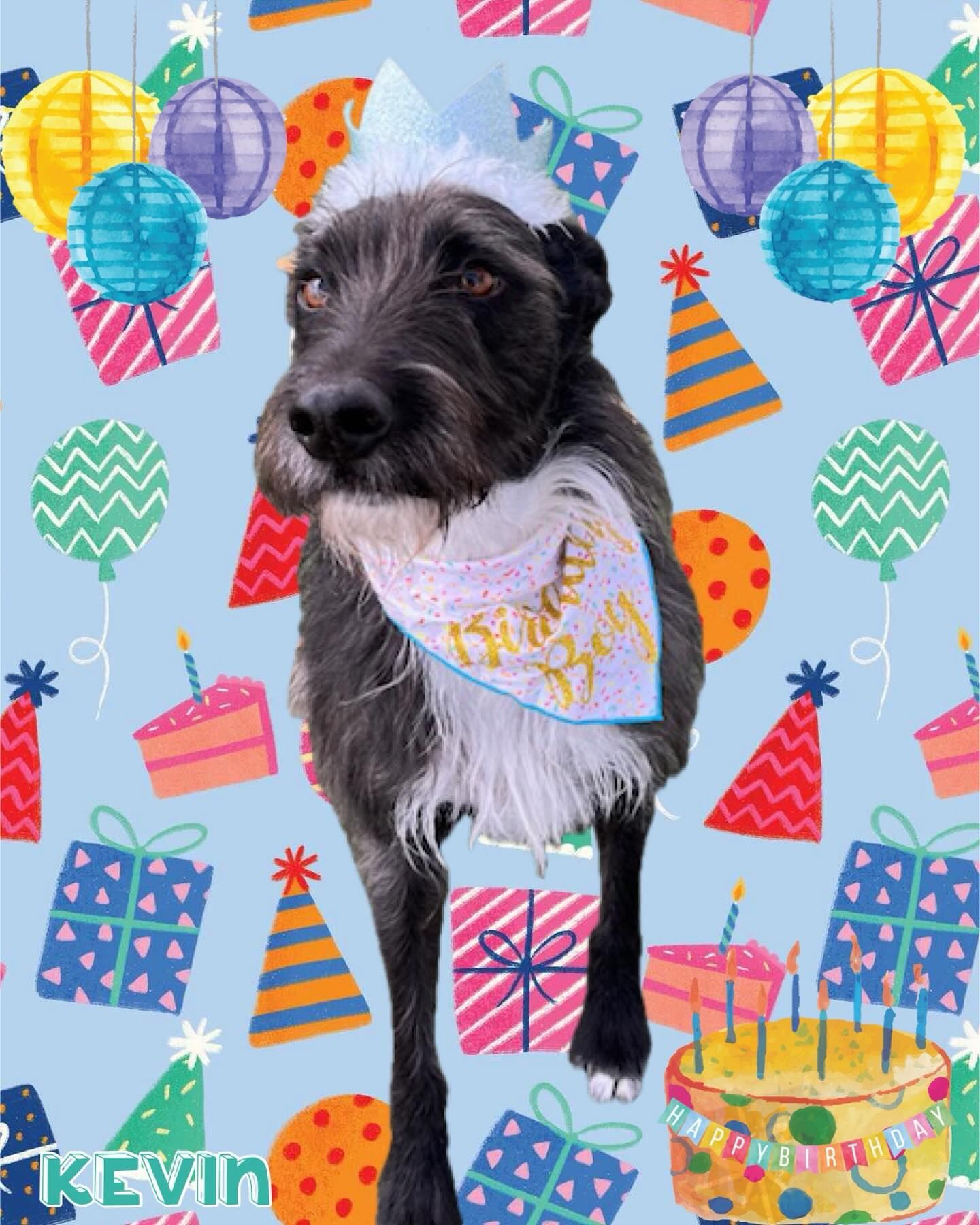 A dog wearing a birthday hat and a bandana