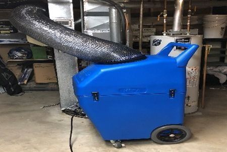 Blue dehumidifier with black hose in a basement setting.