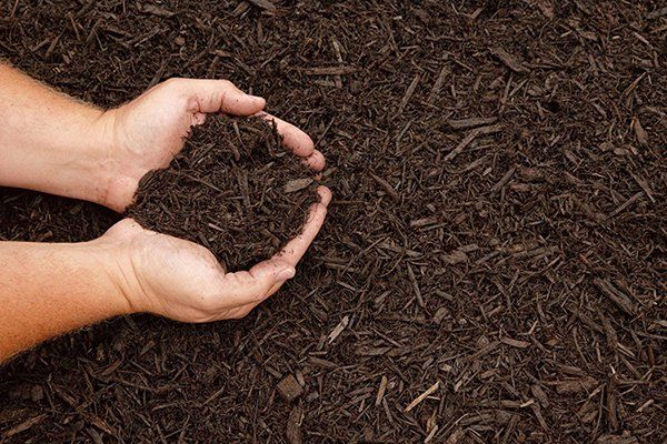 Mulch
