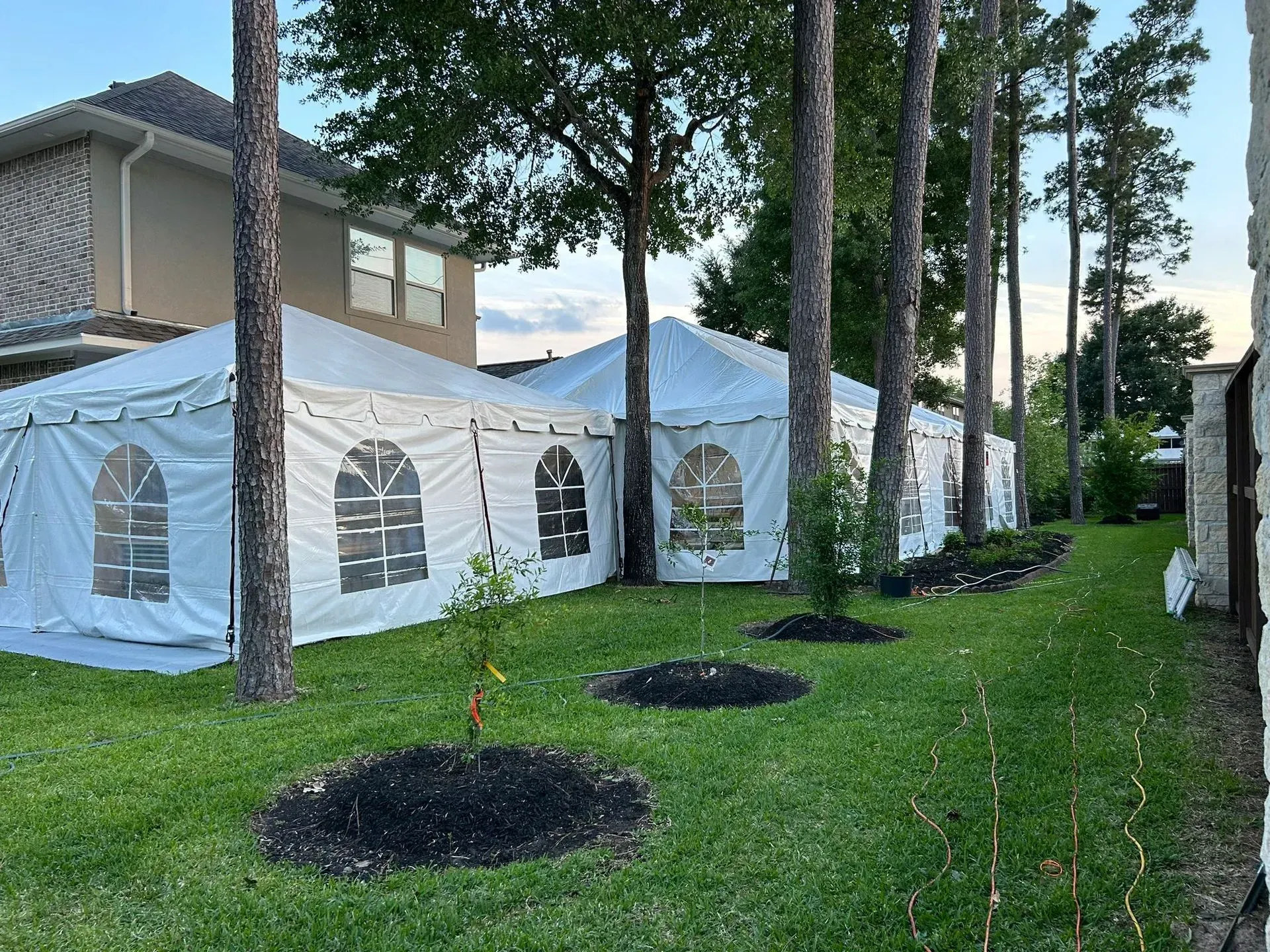 White tents set up in a backyard next to a house, near trees, and a manicured lawn.