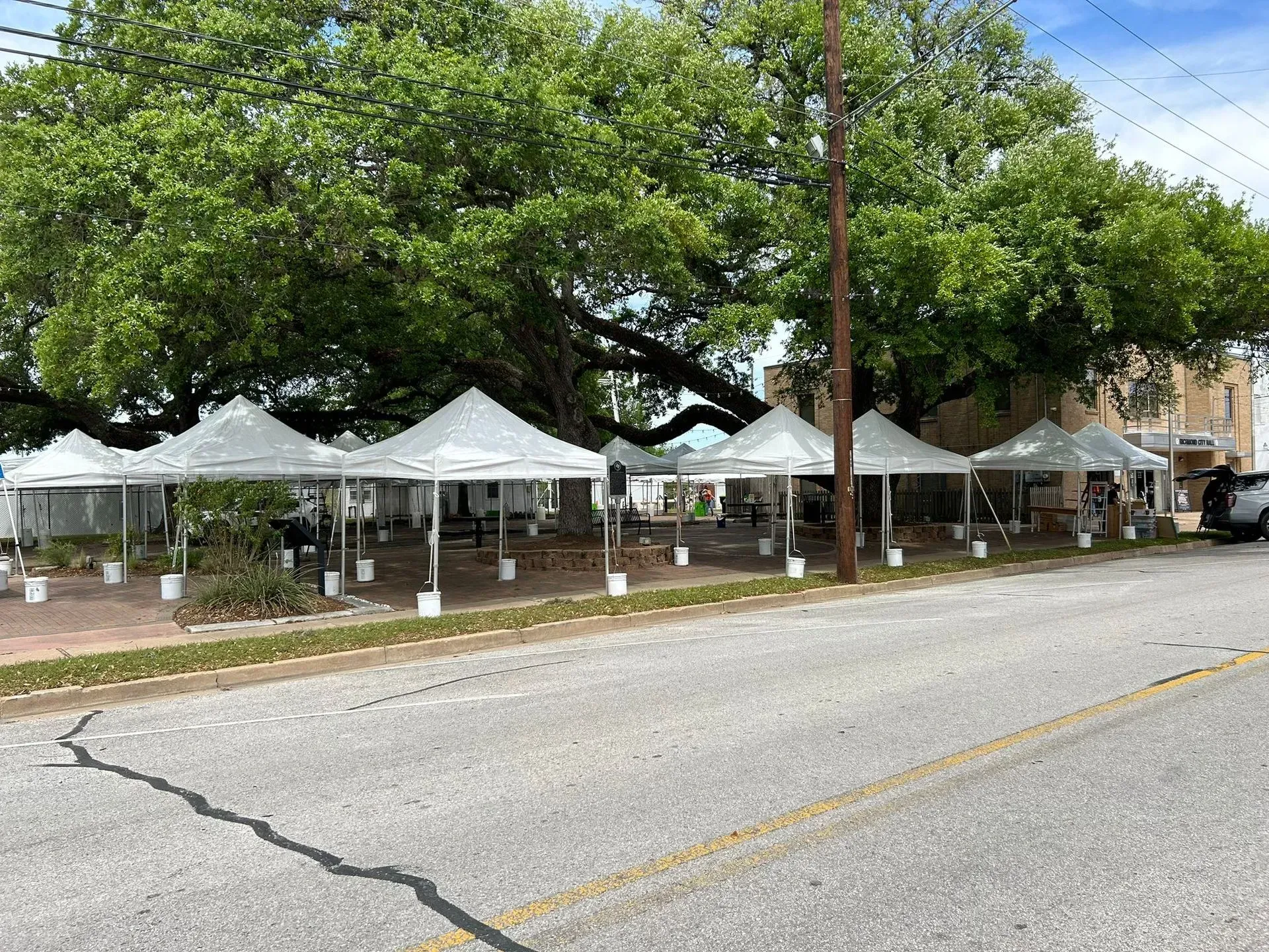 White tents set up along a street under a large tree, likely for an outdoor event.