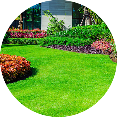 clean lawn