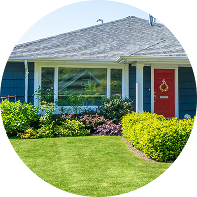 Lawn