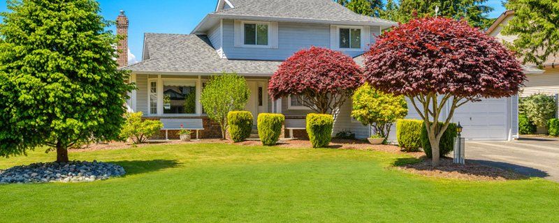 Lawn