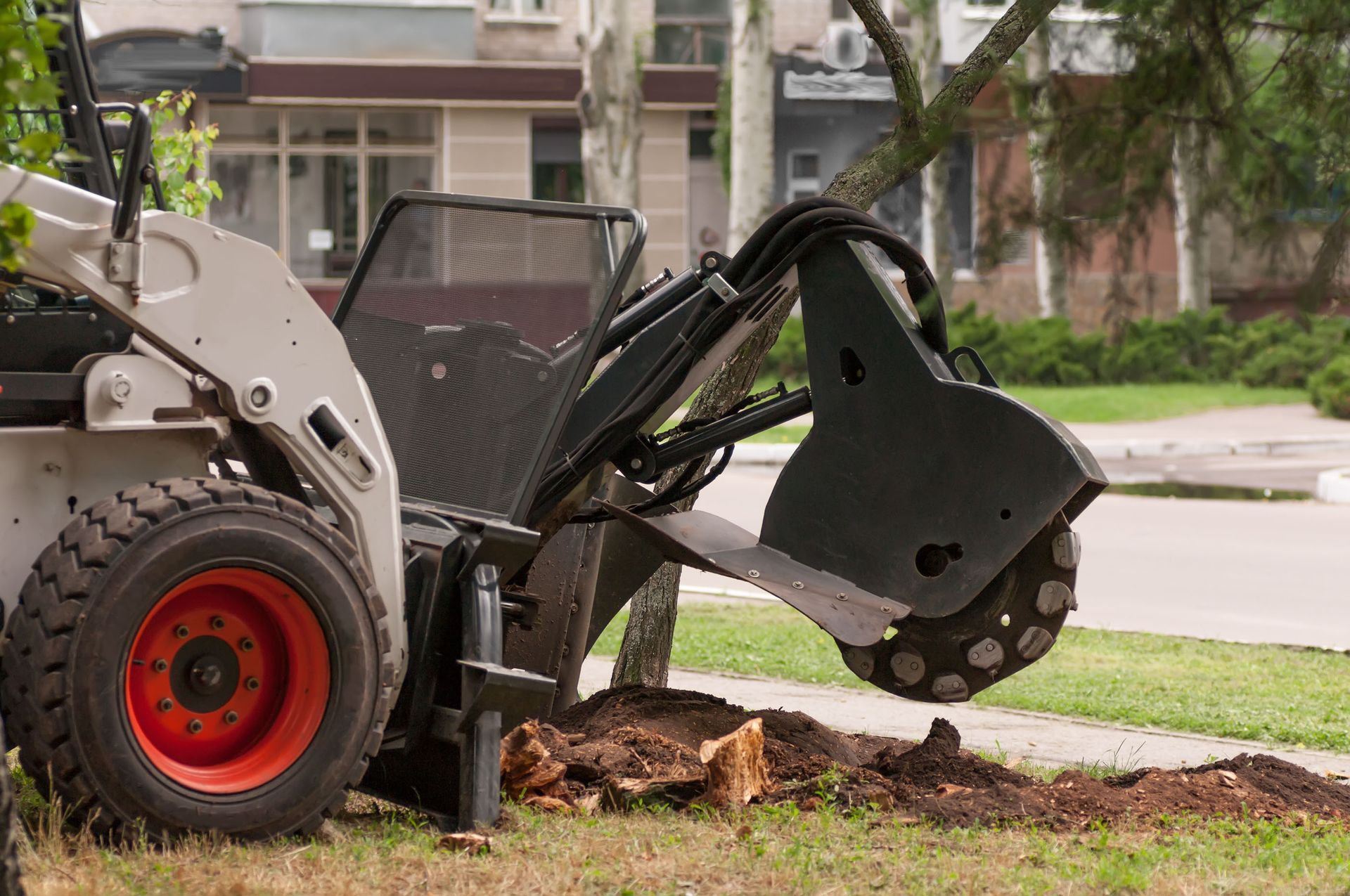stump grinding