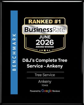 Business Rate June 2026