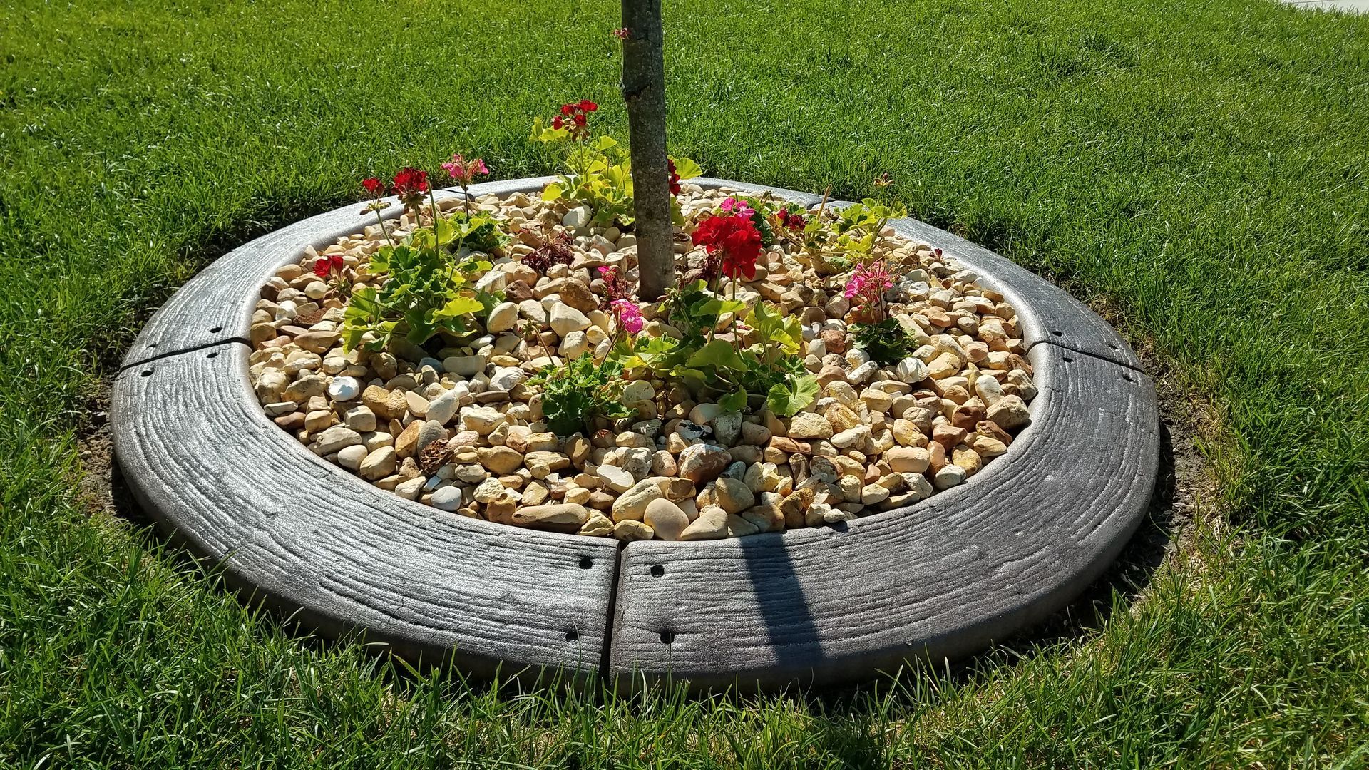 a tree is surrounded by rocks and flowers in a garden