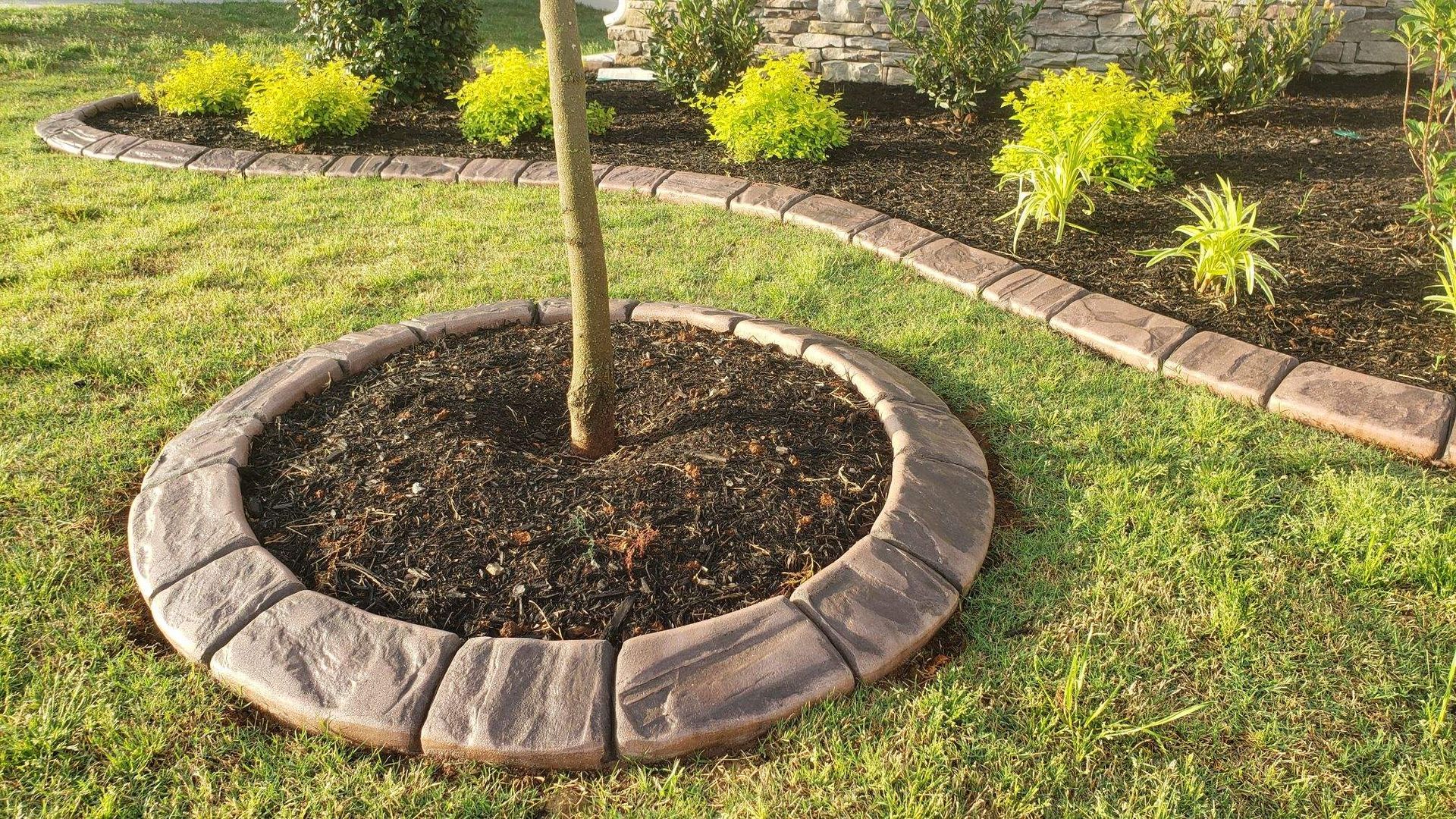 a tree is surrounded by a circle of bricks in a garden