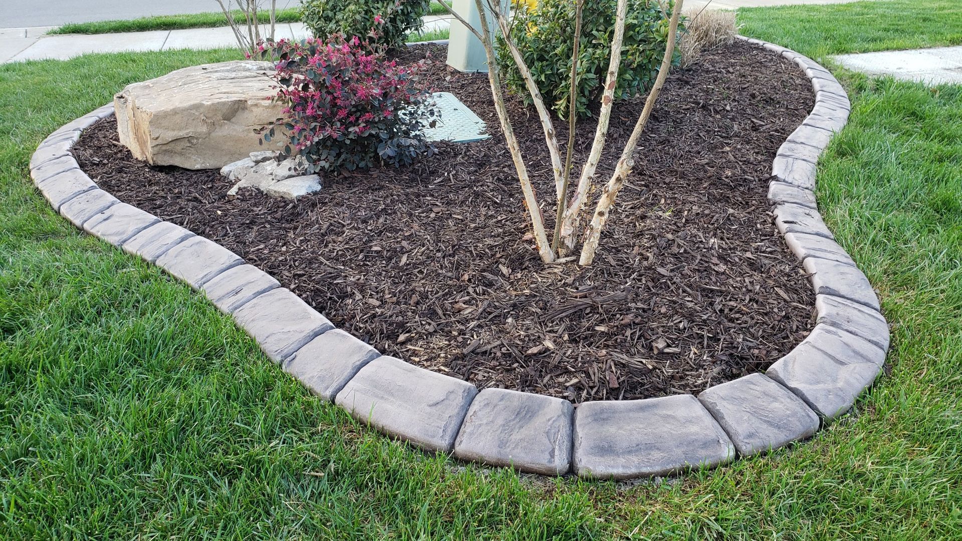 a garden with a stone border and a tree in the middle of it