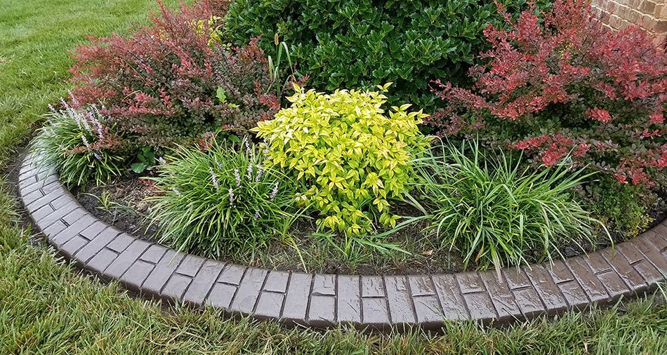 A garden with a brick walkway surrounded by plants and flowers.