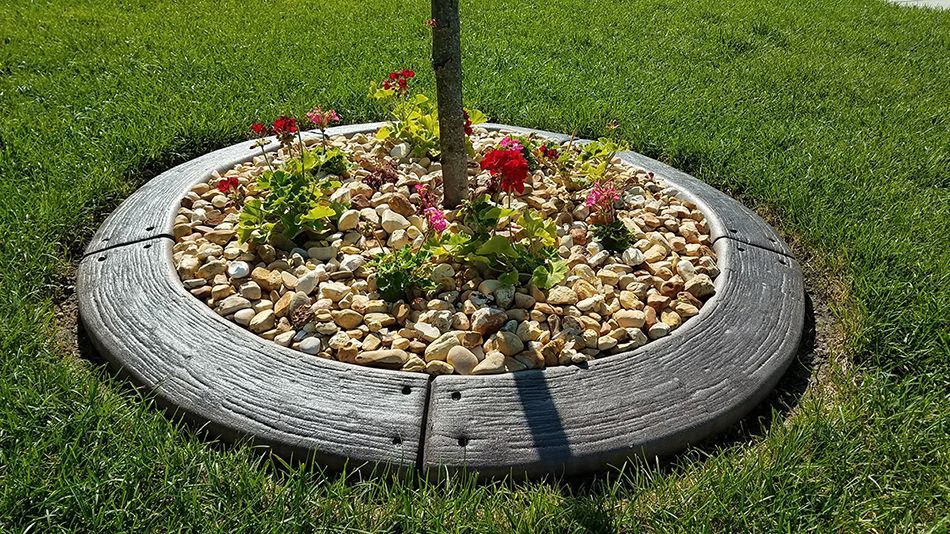 A tree is surrounded by rocks and flowers in a garden.
