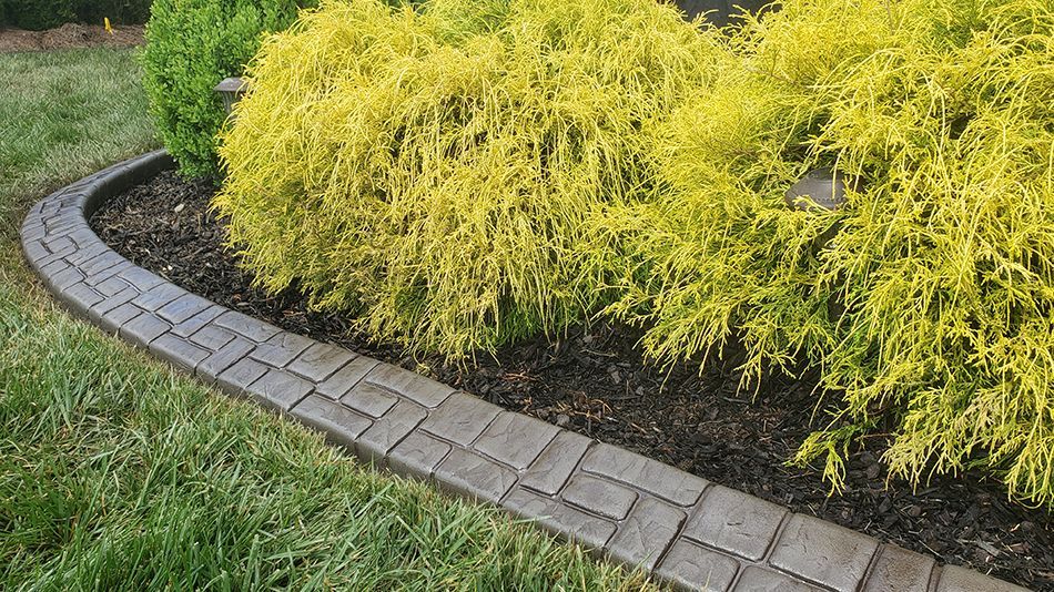 A brick walkway leading to a bush with yellow leaves.