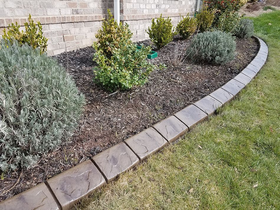A concrete curb surrounds a garden with a brick wall in the background.