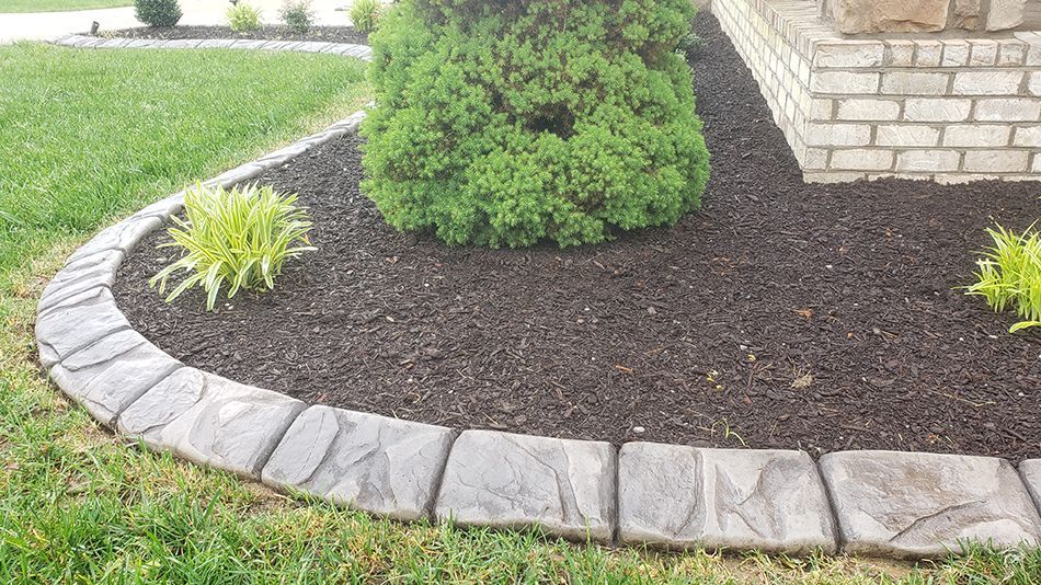 A brick border around a garden bed with a tree in the middle.