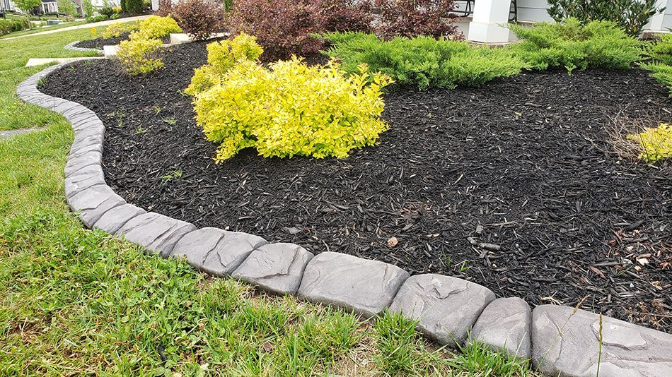 There is a concrete curb in the middle of the garden.