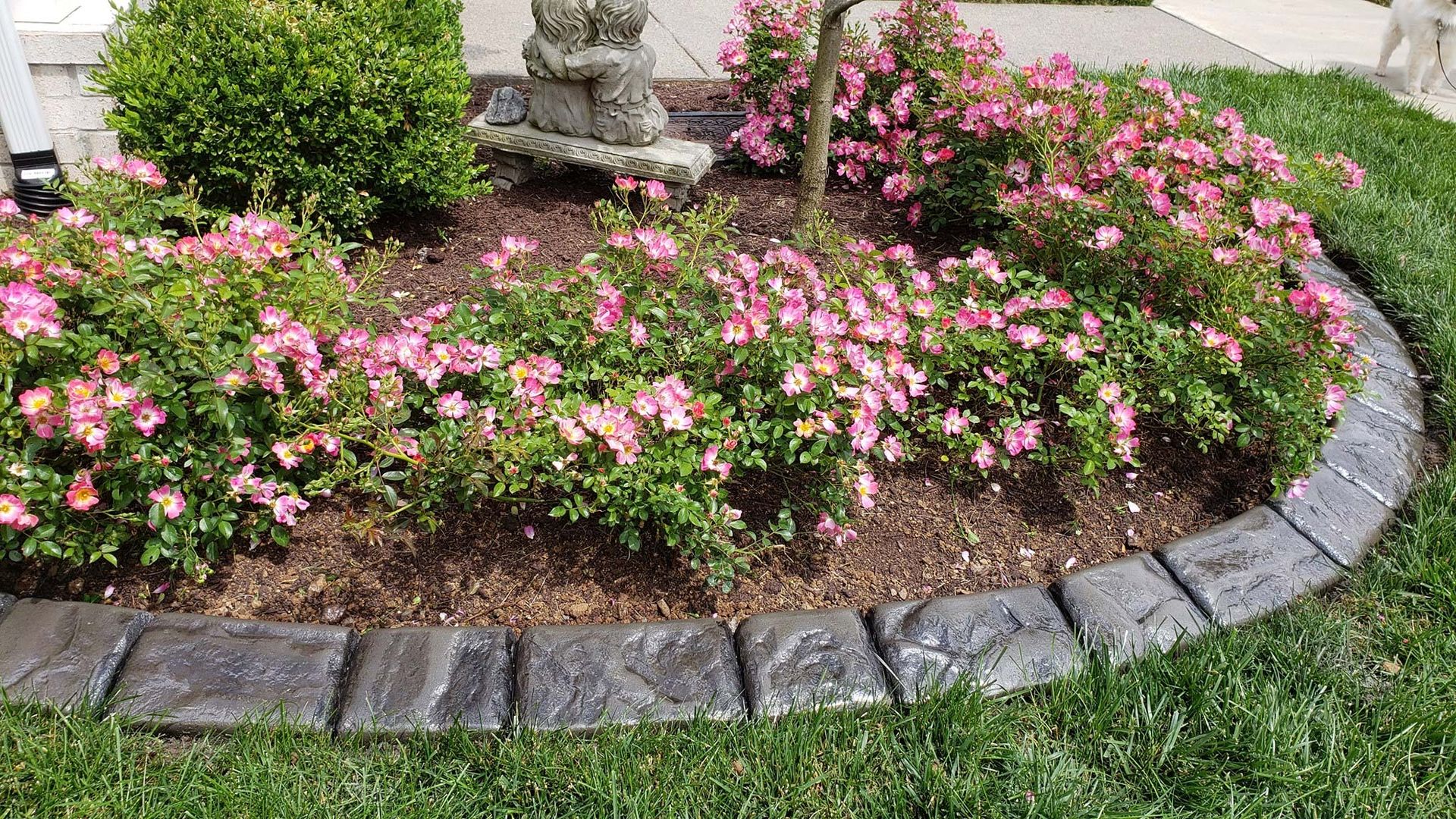 a garden with pink flowers and a stone border