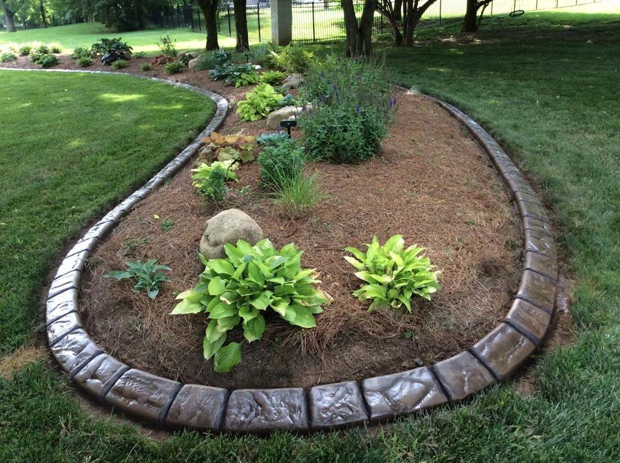 A garden with a concrete curb and plants in it
