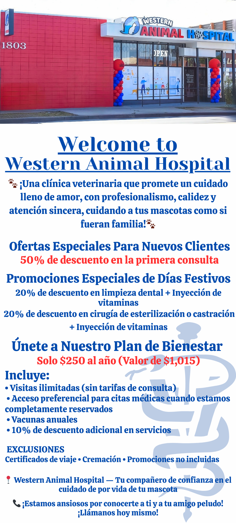 Special offer for new clients (Spanish Version)