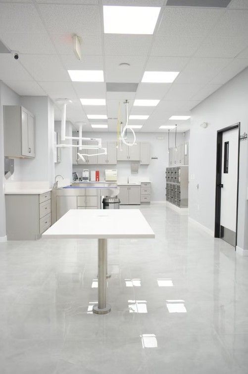 Interior of a veterinary clinic, featuring white walls, stainless steel fixtures, and a white examination table.