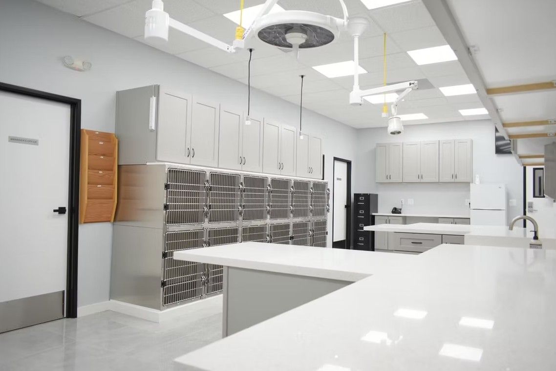 Clean, modern veterinary surgery room with stainless steel cabinets, white countertops, and surgical lights.