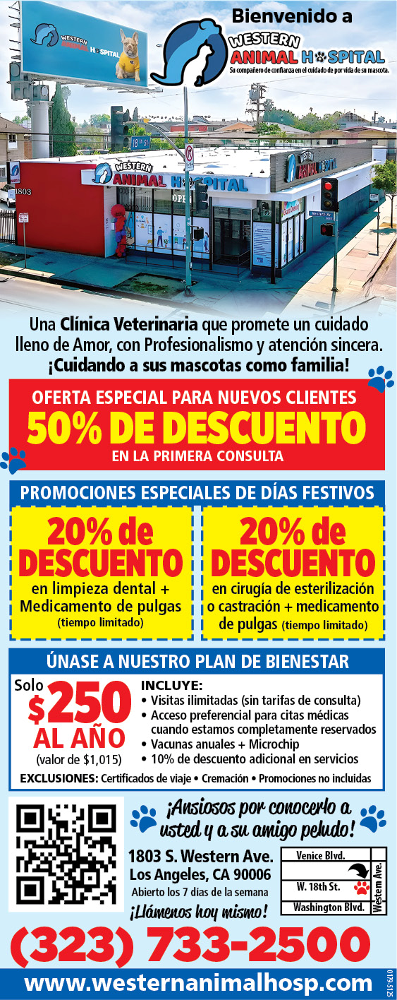 An advertisement for Western Animal Hospital featuring a discount offer and contact information.