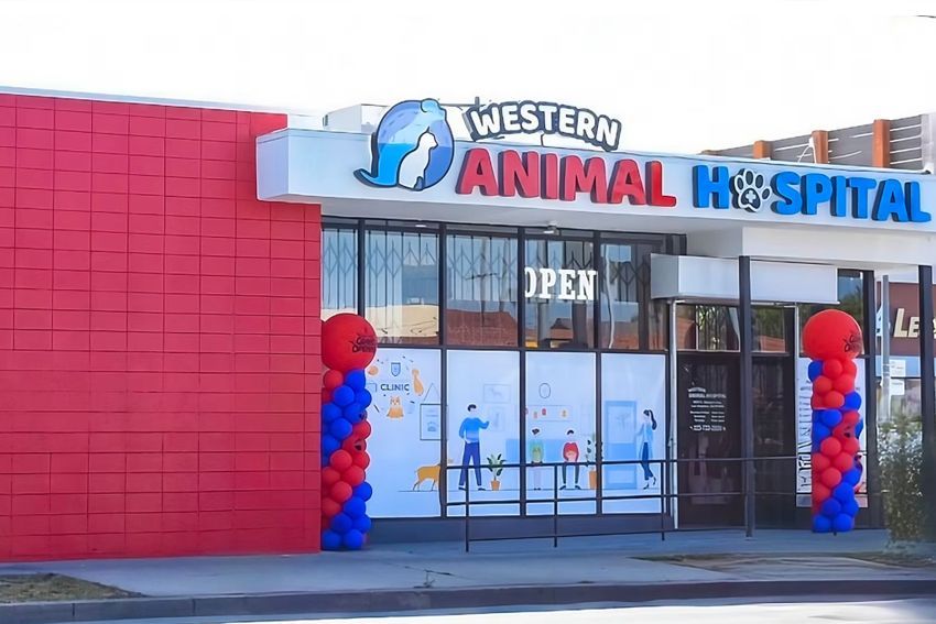 Western Animal Hospital storefront