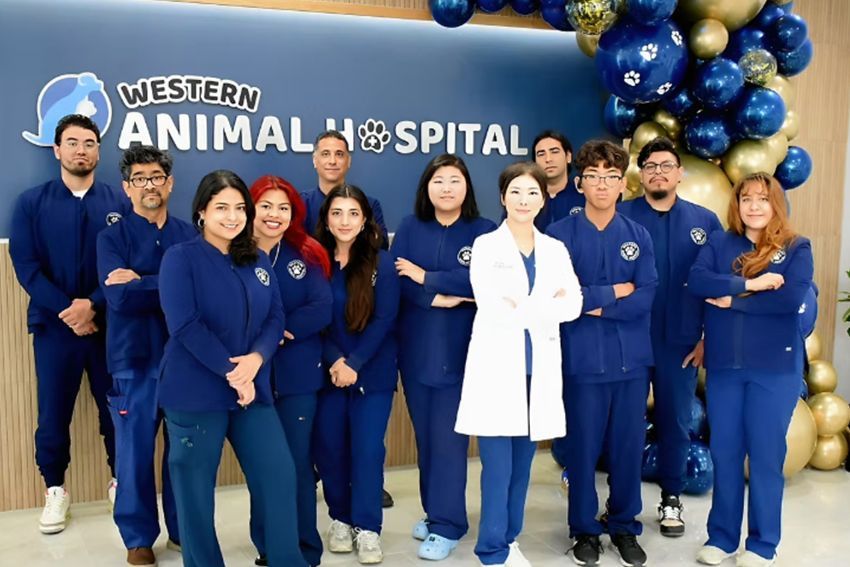 Western Animal Hospital staff in blue uniforms, posing in front of a logo and balloons.