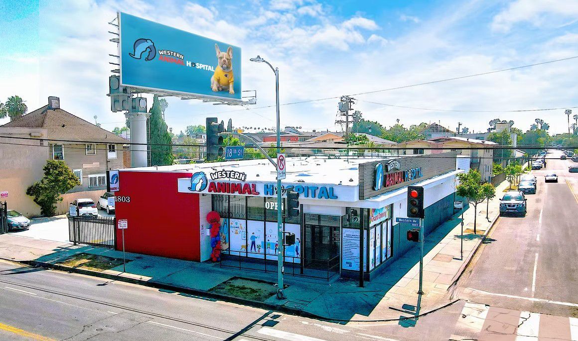 Western Animal Hospital