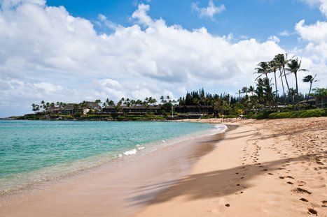 Beach in Hawaii
